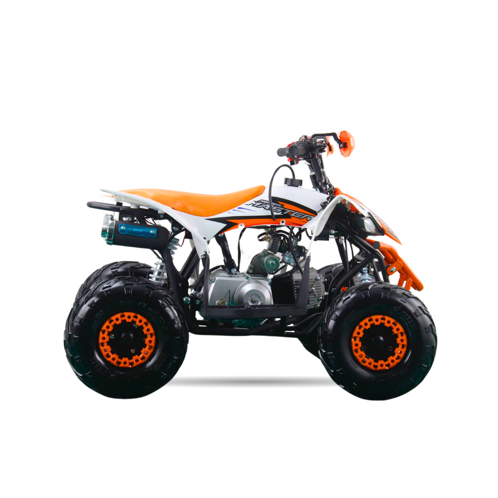 Mini Quad Rebel Master Mini Raptor 110CC (R-6 Llanta)
