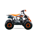 Mini Quad Rebel Master Mini Raptor 110CC (R-6 Llanta)