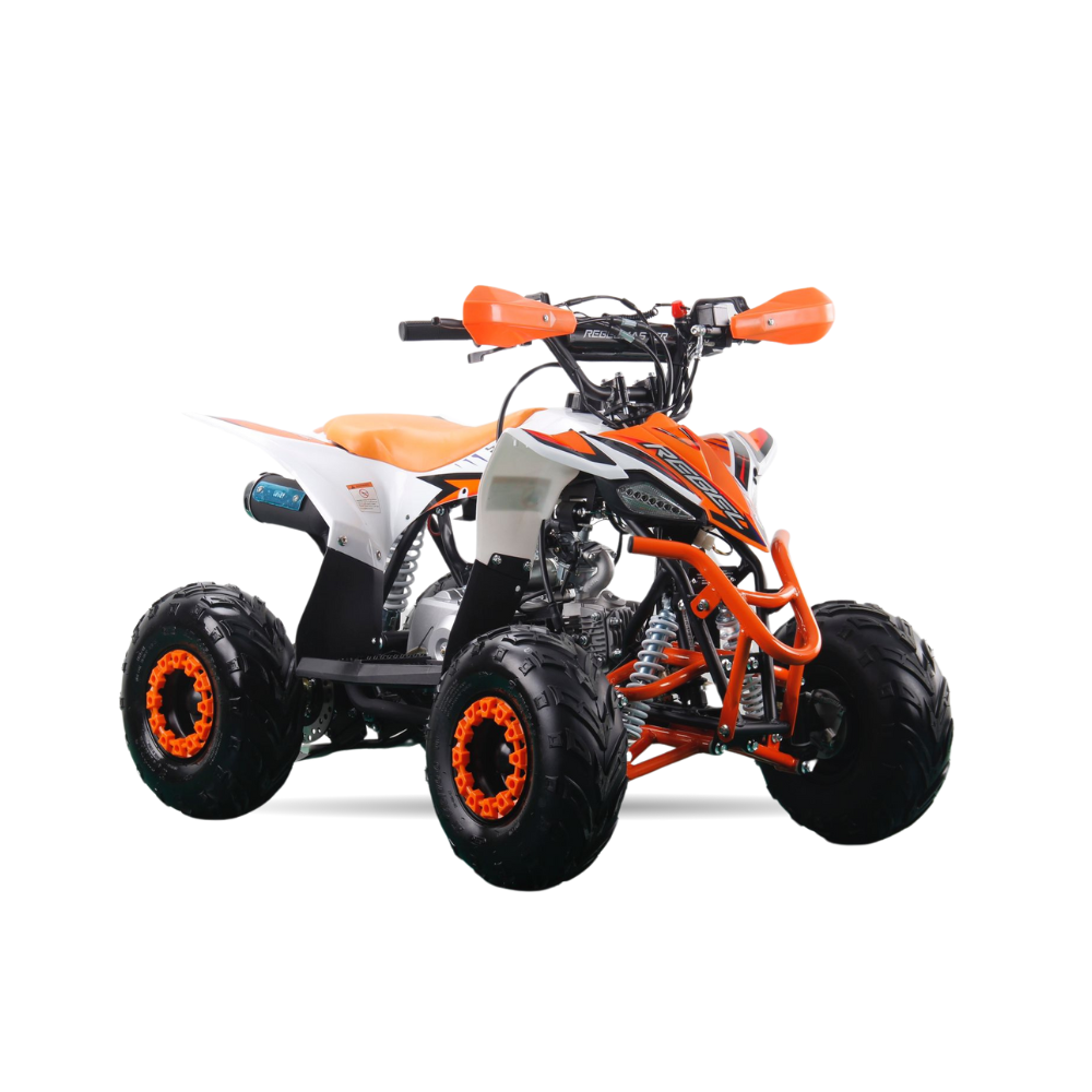 Mini Quad Rebel Master Mini Raptor 110CC (R-6 Llanta)