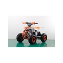 Mini Quad Rebel Master Mini Raptor 110CC (R-6 Llanta)