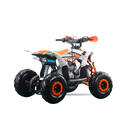 Mini Quad Rebel Master Mini Raptor 110CC (R-6 Llanta)
