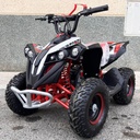 Mini Quad Goliat 49cc