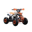 Mini Quad Rebel Master Mini Raptor 110CC (R-6 Llanta)